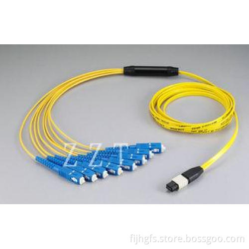 Single Mode MPO MTP Patch Cord Cable Assemblies With IEC-61